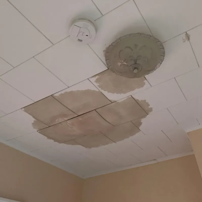 Ceiling Water Damage Repair in Hart, TX