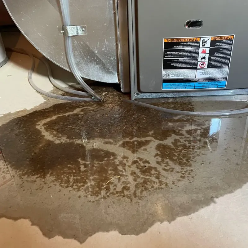 Pipe Burst and Leak Restoration in Hart, TX