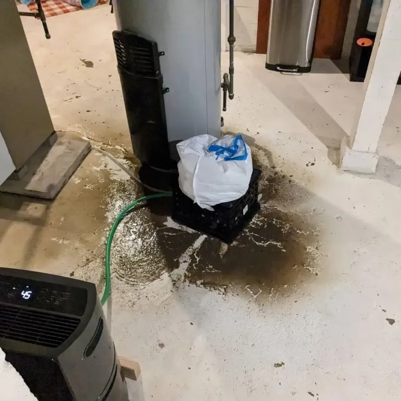 Sewage Backup Cleanup Service in Hart, TX